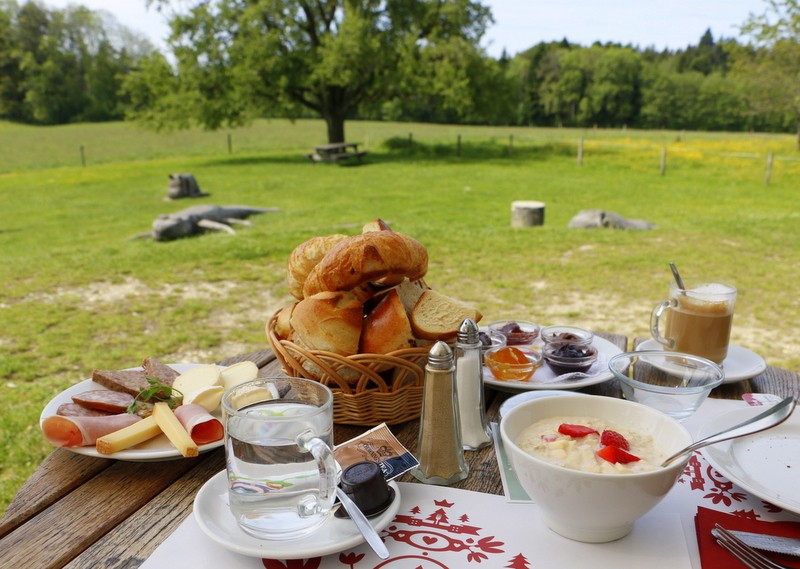 L'auberge du chalet des enfants