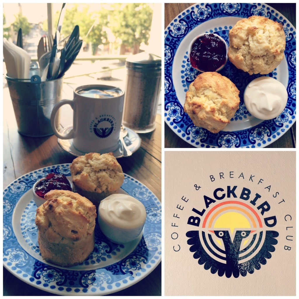 Blackbird cream tea