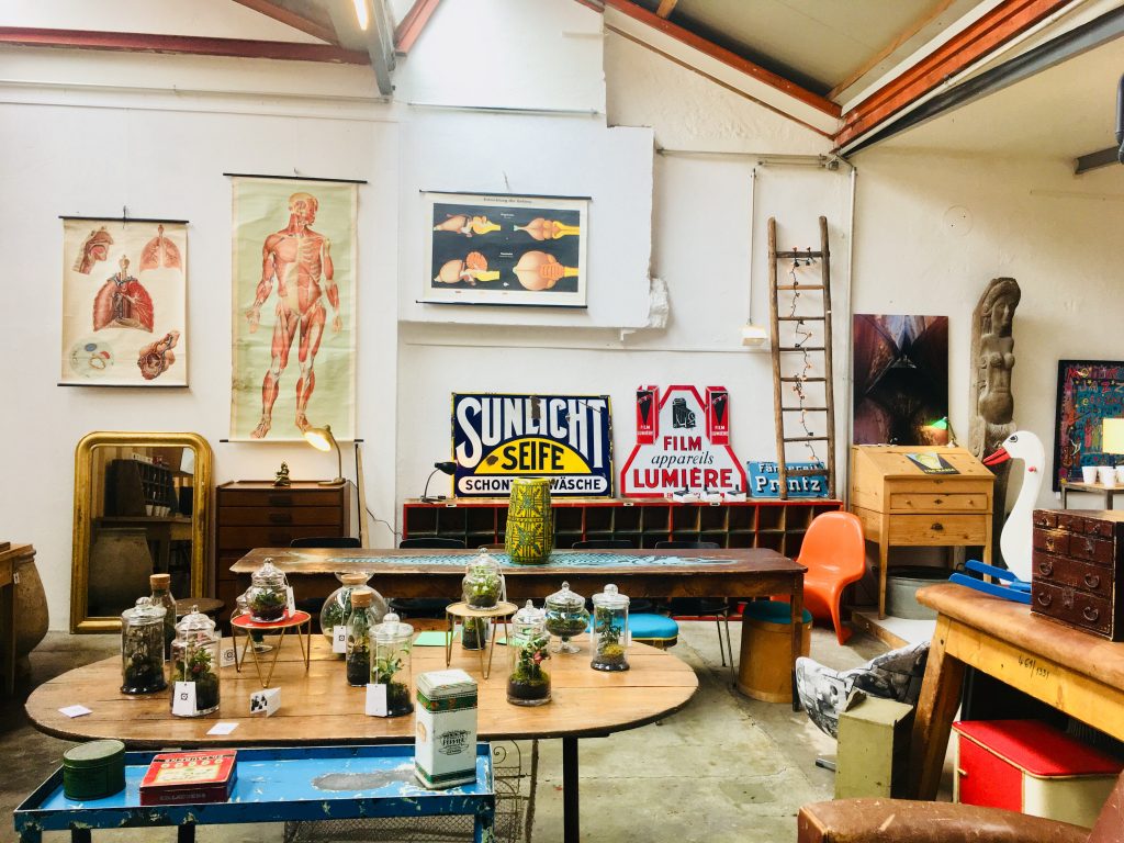 Intérieur chien bleu