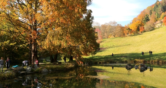 arboretum-vallon-aubonne