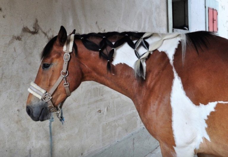 ferme-de-cery