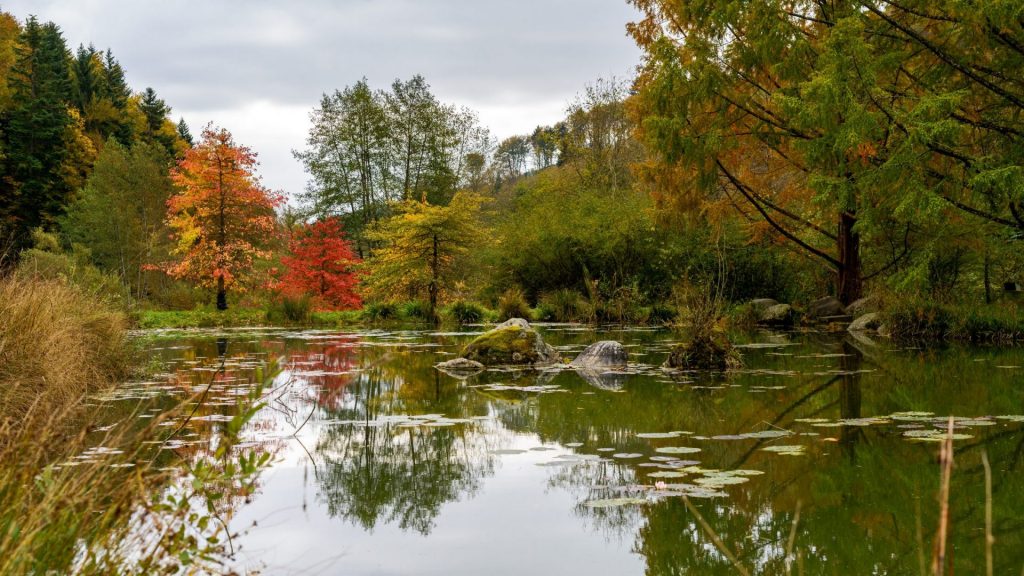 arboretum-automne-aubonne-ballade-en-famille