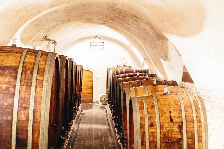 cave_clos_des_abbayes_ville_de_lausanne